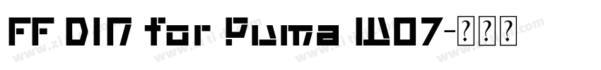 FF DIN for Puma W07字体转换